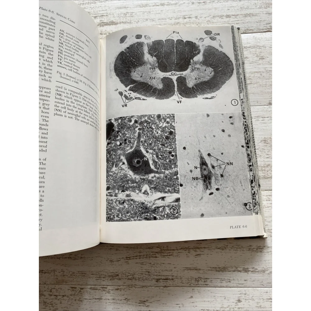 Vintage Histology Atlas 1970 Medical Textbook Hardcover Reith Ross 2nd Edition